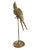 Mid-Century Modern 1960s Sergio Bustamante Style Brass Cockatiel Bird Sculpture on Perch For Sale - Image 3 of 7