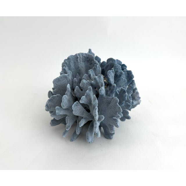 Chinoiserie Natural Blue Coral Specimen For Sale - Image 3 of 7