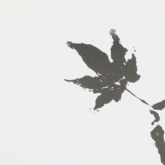 Japanese Sumi Leaf (Print) - Virginia Cohn Parkum, C. 2020s For Sale - Image 3 of 8