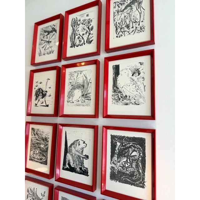 1970s After Pablo Picasso “Eaux-Fortes Originales Pour Les Textes De Buffon” Suite of Twelve Framed Lithographs 1970s For Sale - Image 5 of 5