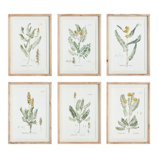 Mid-Summer Blooms Prints, Set Of 6 For Sale