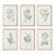 Mid-Summer Blooms Prints, Set Of 6 For Sale