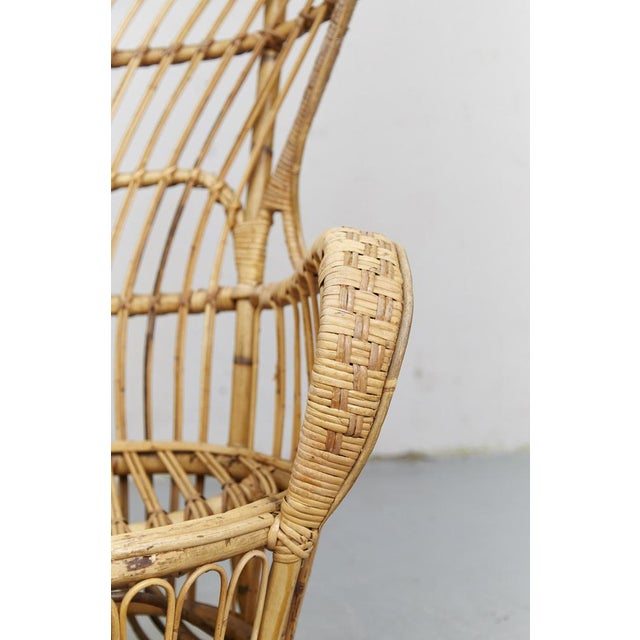 Rattan Conte Biancamano Chair by Gio Ponti, 1950s For Sale - Image 6 of 12