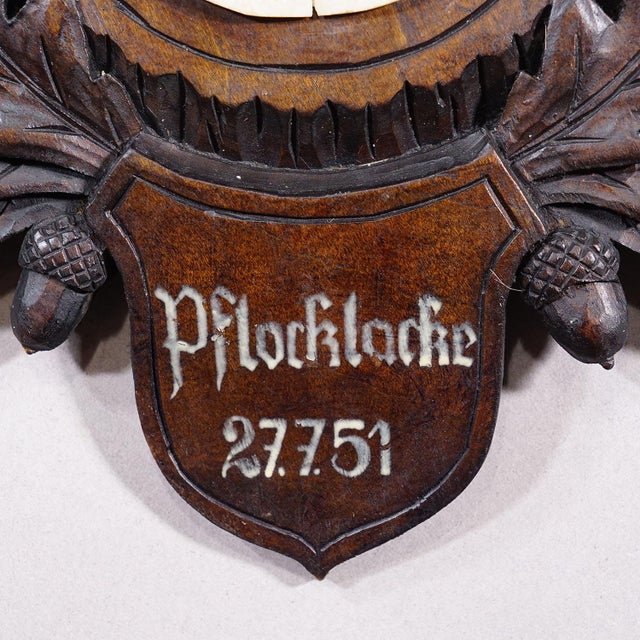 1950s Vintage Black Forest Red Deer Trophy on Carved Plaque - Germany 1951 For Sale - Image 5 of 6