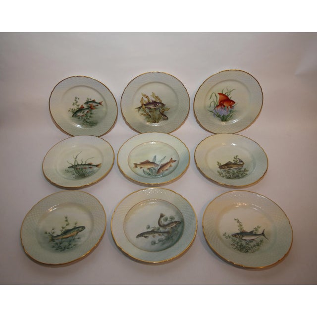 Early 20th Century Bing & Grondahl Custom Hand-Painted & Signed Danish Fish Set- 34 Pieces For Sale - Image 10 of 12