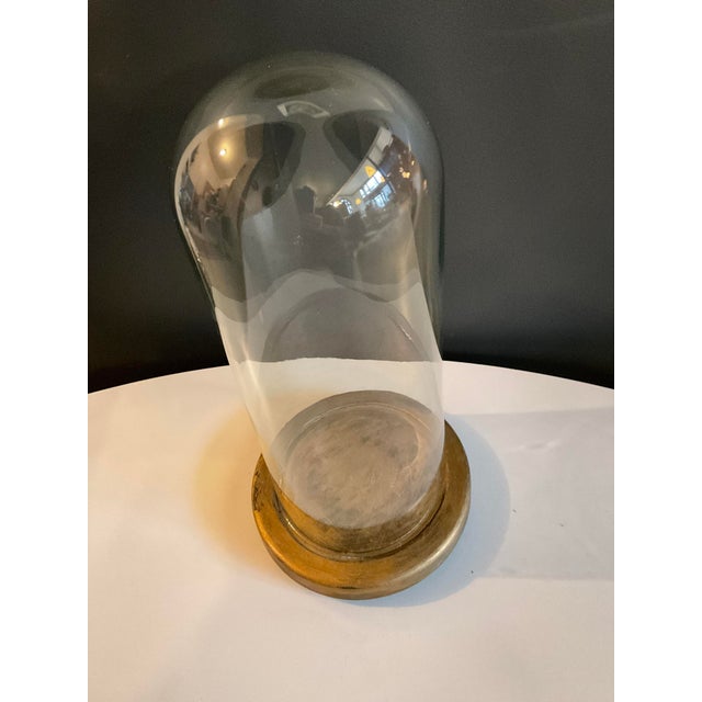 Antique Hand Blown Glass Cloche With Wooden Stand | Chairish