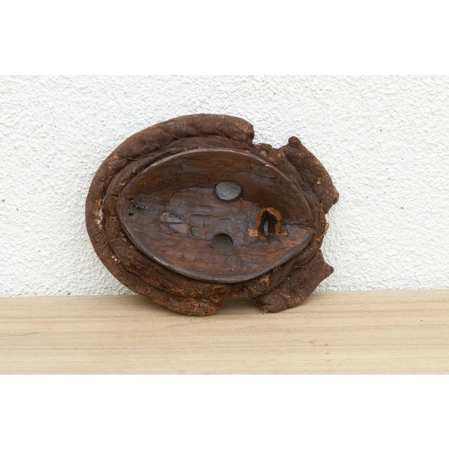 Shell Rare and Evocative African Mask For Sale - Image 7 of 8