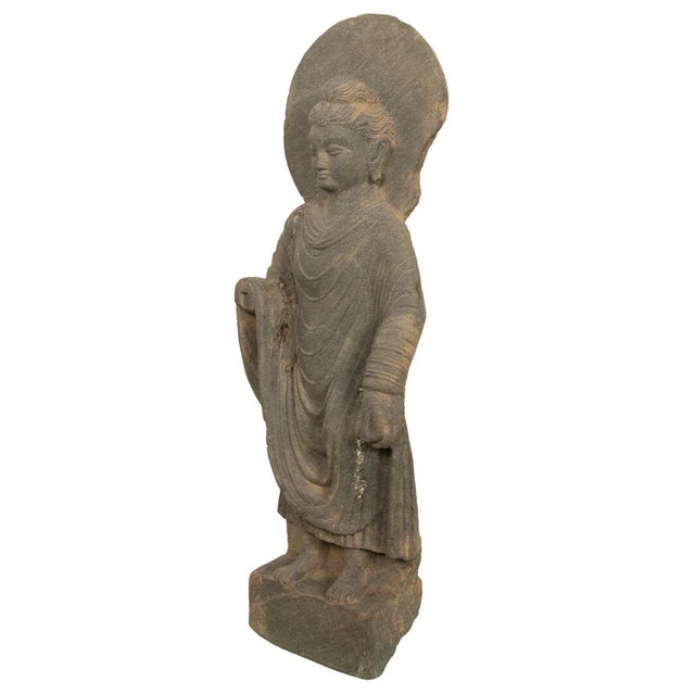 Indian Ancient Indian Carved Stone Gandharan Shakyamuni Buddha Statue 2nd Century A.D. For Sale - Image 3 of 16