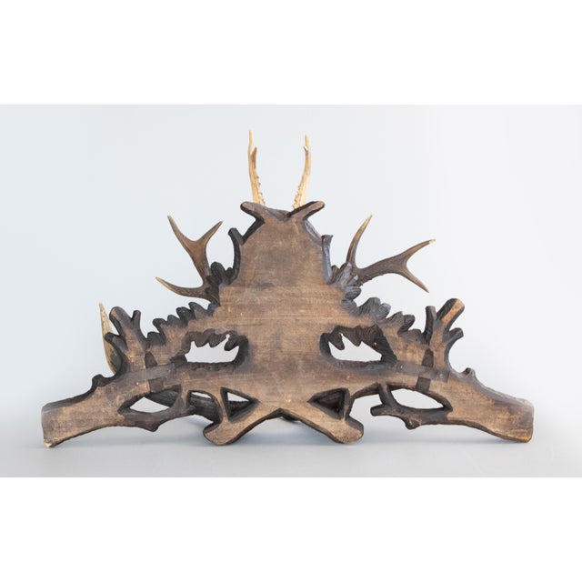 19th Century Black Forest Antlers Trophy Mount Mantel Wall Plaque For Sale - Image 10 of 11
