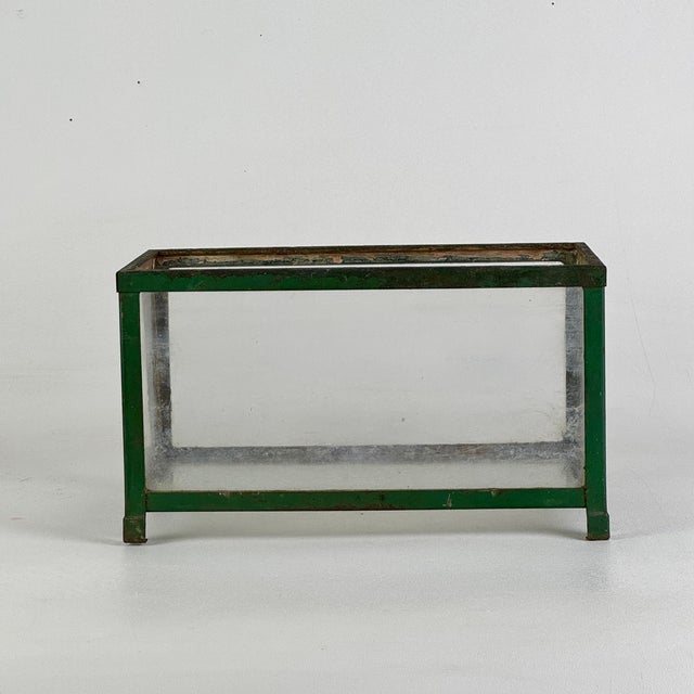 A lovely old salvaged terrarium. The metal frame is in its original beautiful green paint, and the glass is all old and...