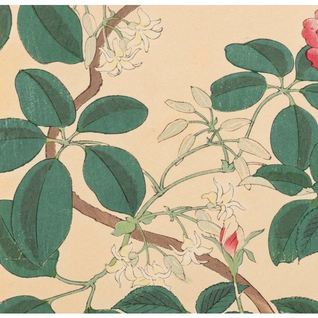 Japanese School Botanical Woodblock Prints, 3 For Sale - Image 4 of 17