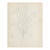 1940s Grace Spongberg Banana Tree Sketch For Sale