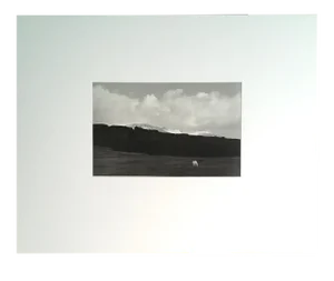 1970s "Thingveillir" Icelandic Landscape Photograph by Fred Picker