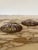 Antique Pair of Oval Porcelain Plaques Depicting Napoleon in Battle For Sale - Image 9 of 12
