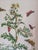 Contemporary 1700's Butterfly Natural History Engravings Reproductions in Contemporary Mirror Frames For Sale - Image 3 of 14