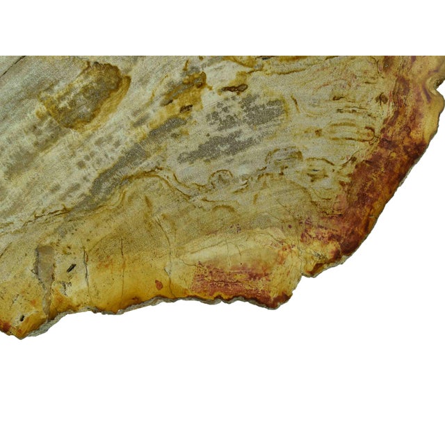 Late 20th Century Solid Stone Serving Cheese Charcuterie Board Platter With Natural Edge For Sale - Image 12 of 12