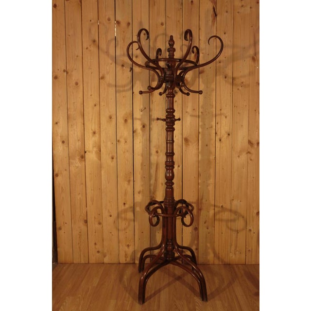 Parrot coat rack made by Fischel, model no. 2 from the 1890 catalog. In curved beech, in the Thonet style. Fischel wanted...