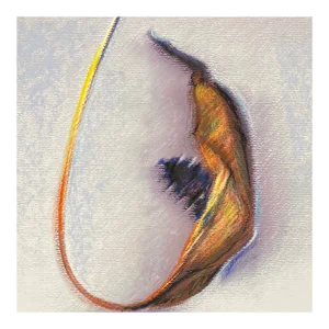 2004 Impressionist Lily Pastel by Helenschmidt