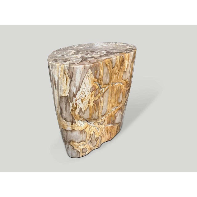 Andrianna Shamaris Impressive High Quality Ancient Petrified Wood Side Table For Sale - Image 4 of 6