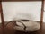 1980s Mesa Italy Stainless Steel Fruit Platter | Mid-Century Modern Biomorphic Tray For Sale - Image 5 of 16