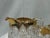 Victorian Antique Eapg "Heart With Thumbprint" Gilt Glass Creamer & Bowl Set For Sale - Image 3 of 9