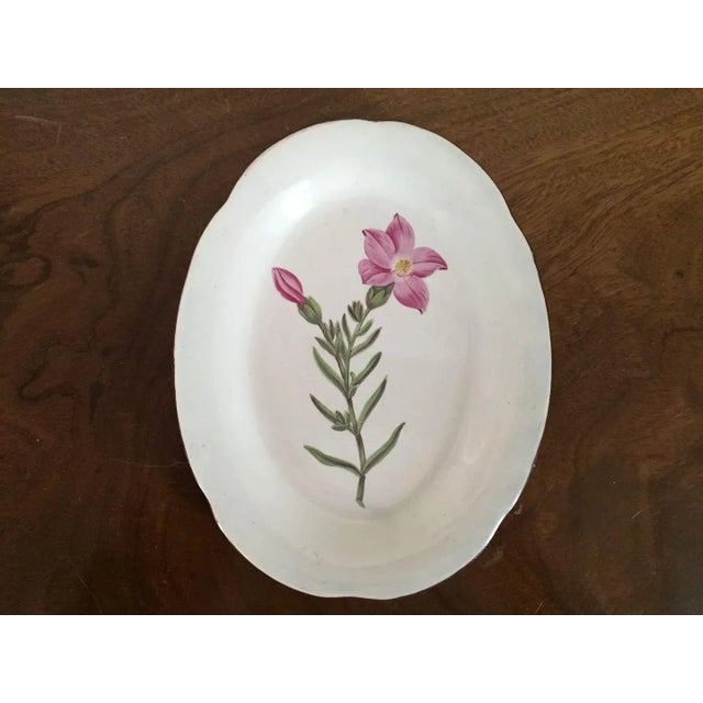 1810 English Pearlware Creamware Botanical Pottery Oval Plate For Sale - Image 4 of 11