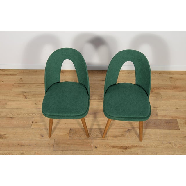 1960s Set of Dining Chairs by Antonín Šuman for Tatra, 1960s For Sale - Image 5 of 18