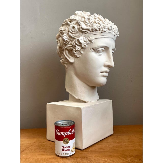 Vintage Plaster Classical Bust of Roman Warrior For Sale - Image 11 of 18