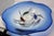 Glass Aquarium Centerpiece by Pino Signoretto For Sale - Image 7 of 8