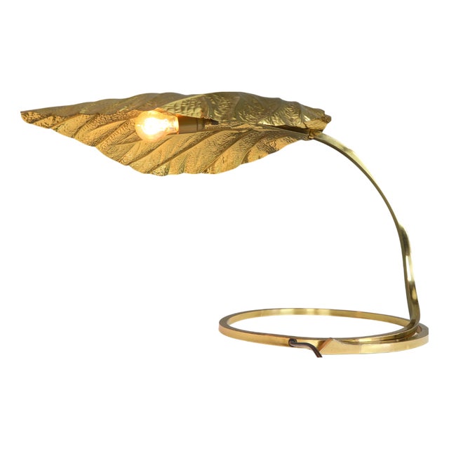 Rhubarb Table Lamp by Tommaso Barbi for Bottega Gadda, 1970 For Sale