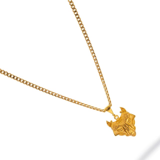 Silver Golden Wolf Spirit Men’s Necklace For Sale - Image 8 of 11