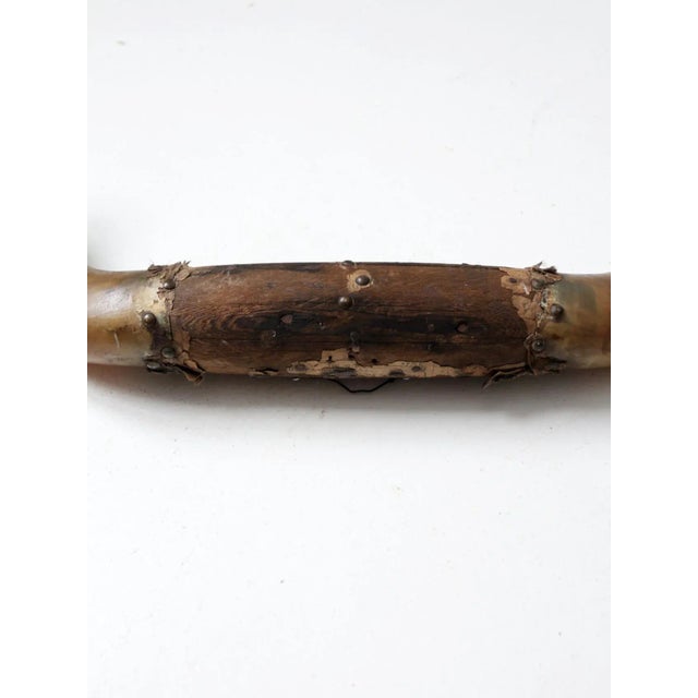 Mid 20th Century Antique Bull Horns Wall Mount For Sale - Image 5 of 13