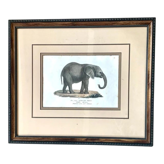 Elephant Framed Wildlife Original Lithograph Print -#1/10 - From a 4-Part Series For Sale