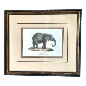 Elephant Framed Wildlife Original Lithograph Print -#1/10 - From a 4-Part Series
