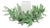 Olive Leaf Candle Ring 12"D For Sale