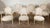 Dining Chairs & Armchairs, 1860s, Set of 6 For Sale - Image 3 of 18