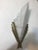Art Deco French Art Deco Wall Sconces Signed by Degue - a Pair For Sale - Image 3 of 10