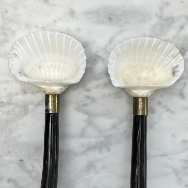 Art Nouveau 19th Century Horn and Shell Sauce Ladle Set - a Pair For Sale - Image 3 of 7