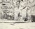 India ink and watercolor landscape in black done with expressive, linear brushstrokes featuring tall redwood trees with...