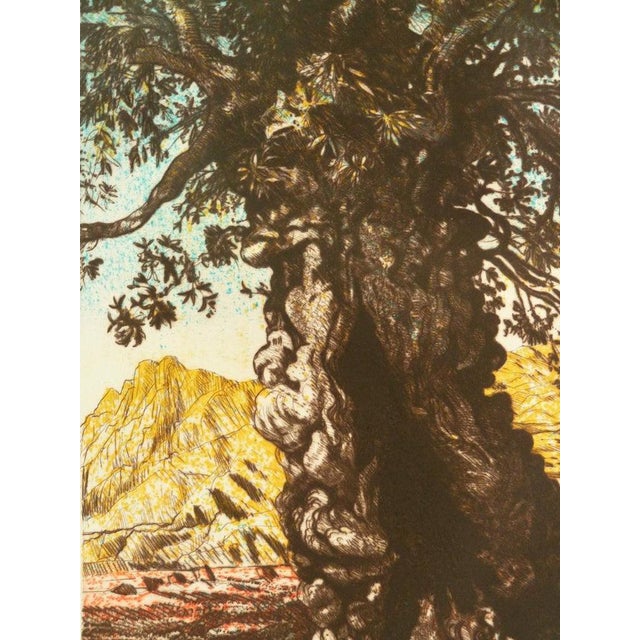 Modern Gerard Diaz, L'olivier, Etching For Sale - Image 3 of 7
