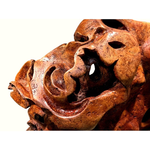 Vintage Burl Root Wood Abstract Sculpture Live Edge Base Organic Modern 17" For Sale - Image 9 of 15