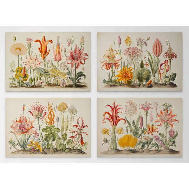 Yellow Set of 4 Botanical Prints — Hortus Floridus Style Flowers, Unframed For Sale - Image 8 of 8
