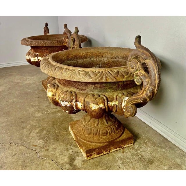 Metal Large Pair of Antique Cast Iron Urn Planters, Europe, Early 20th Century For Sale - Image 7 of 16