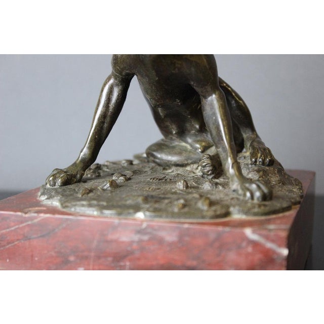 19th Century Bronze Hunting Dog Figurine For Sale - Image 4 of 14