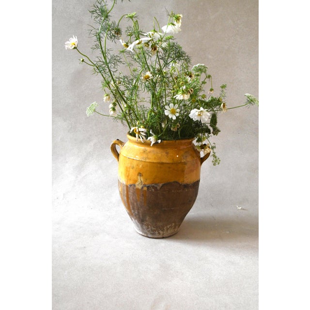 Antique French Ochre-Glazed Earthenware Confit Jar - Medium 2 For Sale - Image 4 of 4