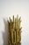 Contemporary Pico 40cm Beige Wall Sconce Lamp, Barracuda Edition. For Sale - Image 3 of 5