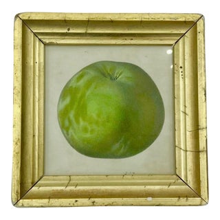 Vintage Green Apple Fruit Lithograph Framed Wall Art Home Decor 5" X 5" For Sale