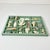 Asparagus Vintage Coastal Boho Chic Seashell Collection, Sage Divided Shadowbox Decorative Object For Sale - Image 8 of 9