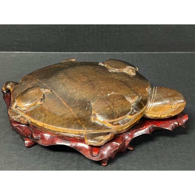 Late 20th Century Chinese Art Carved Tiger Eye Stone Turtle Sculpture on Wooden Display Stand For Sale - Image 5 of 11