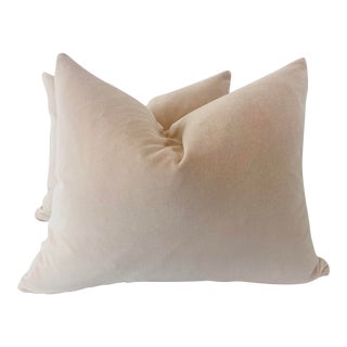 Light Pink Velvet 16”x20” Pillows-A Pair For Sale